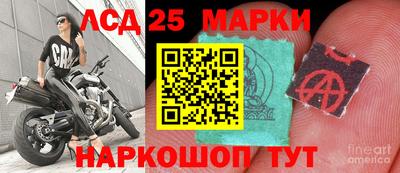шишки Канаш