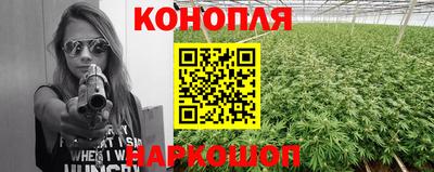 шишки Канаш