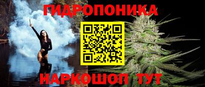 шишки Канаш