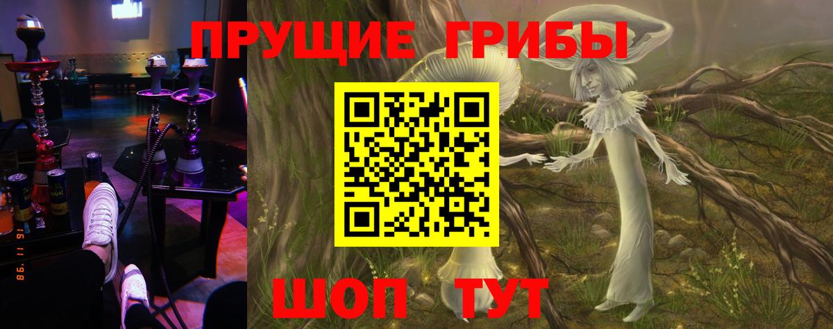 Псилоцибиновые грибы GOLDEN TEACHER Кувандык